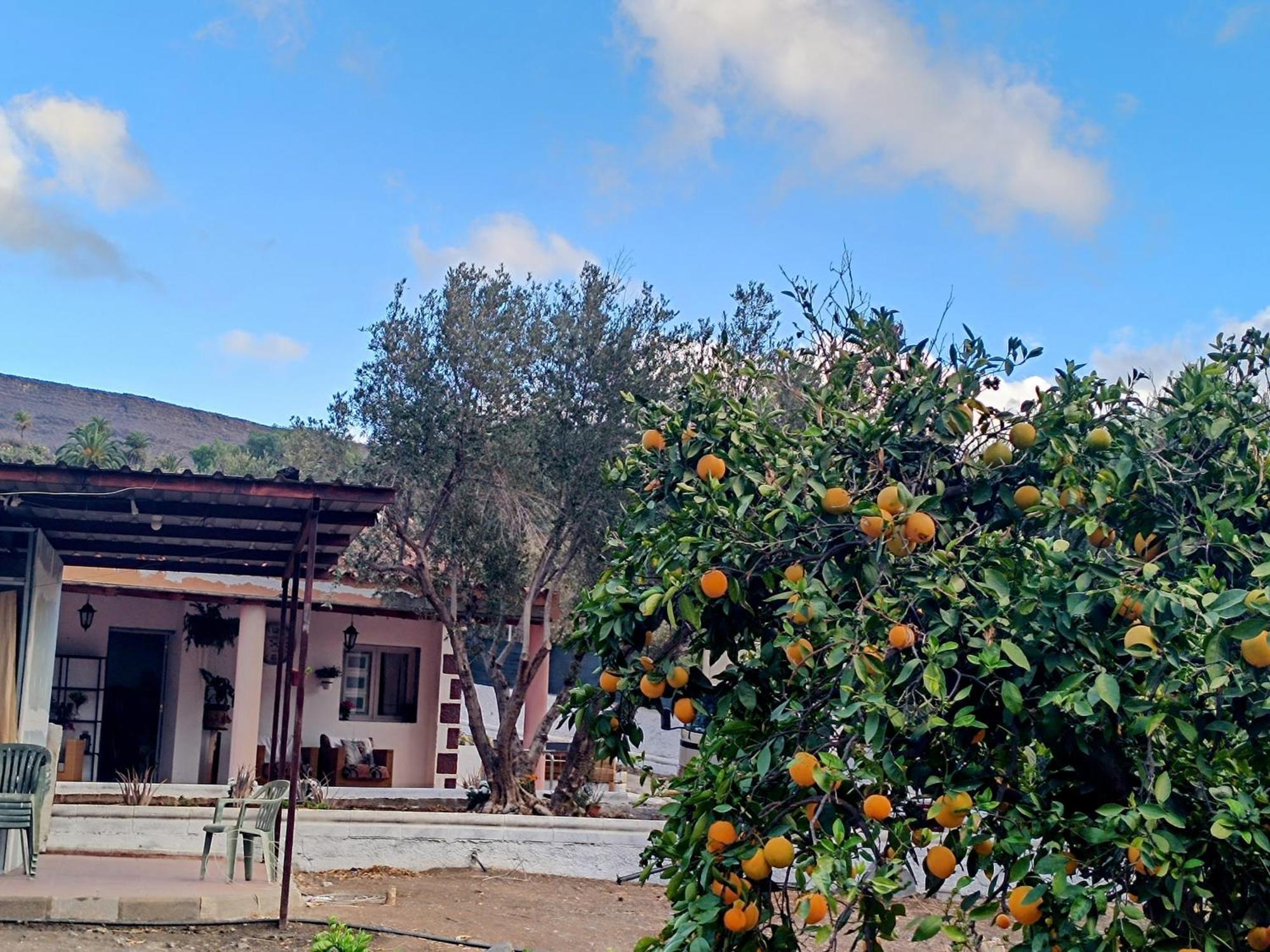 Villa La Casa De La Pradera Santa Lucía Exterior foto